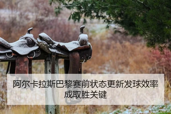 阿尔卡拉斯巴黎赛前状态更新发球效率成取胜关键